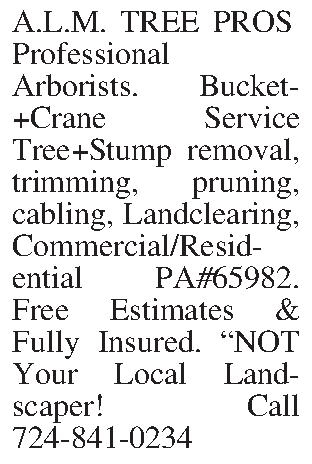 A.L.M. TREE PROS Professional   A.L.M. TREE PROS Professional  Arborists. Bucket+Crane Service Tree+Stump removal, trimming, pruning, cabling, Landclearing,  Commercial/Resid-ential PA#65982. Free Estimates & Fully Insured. NOT Your Local Landscaper!  Call 724-841-0234