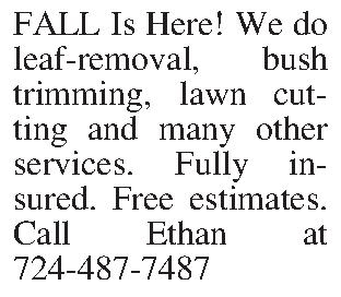 FALL Is Here! We do  FALL Is Here! We do leaf-removal, bush trimming, lawn cutting and many other services. Fully insured. Free estimates. Call Ethan at 724-487-7487